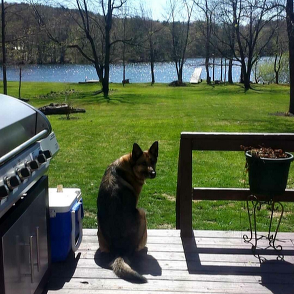 Meet your Posher, Alex